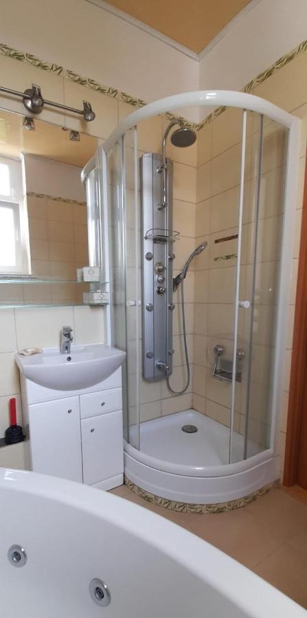 グリヴィツェApartament Kasztanowyアパートメント エクステリア 写真