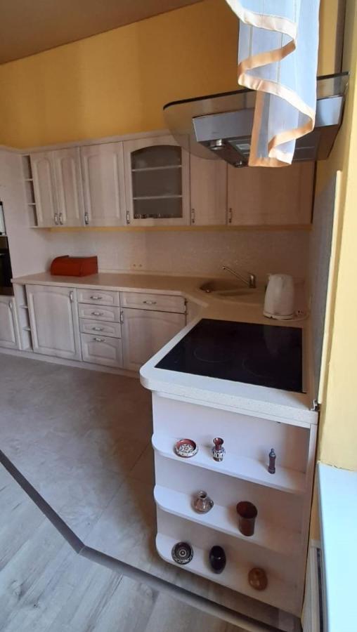 グリヴィツェApartament Kasztanowyアパートメント エクステリア 写真