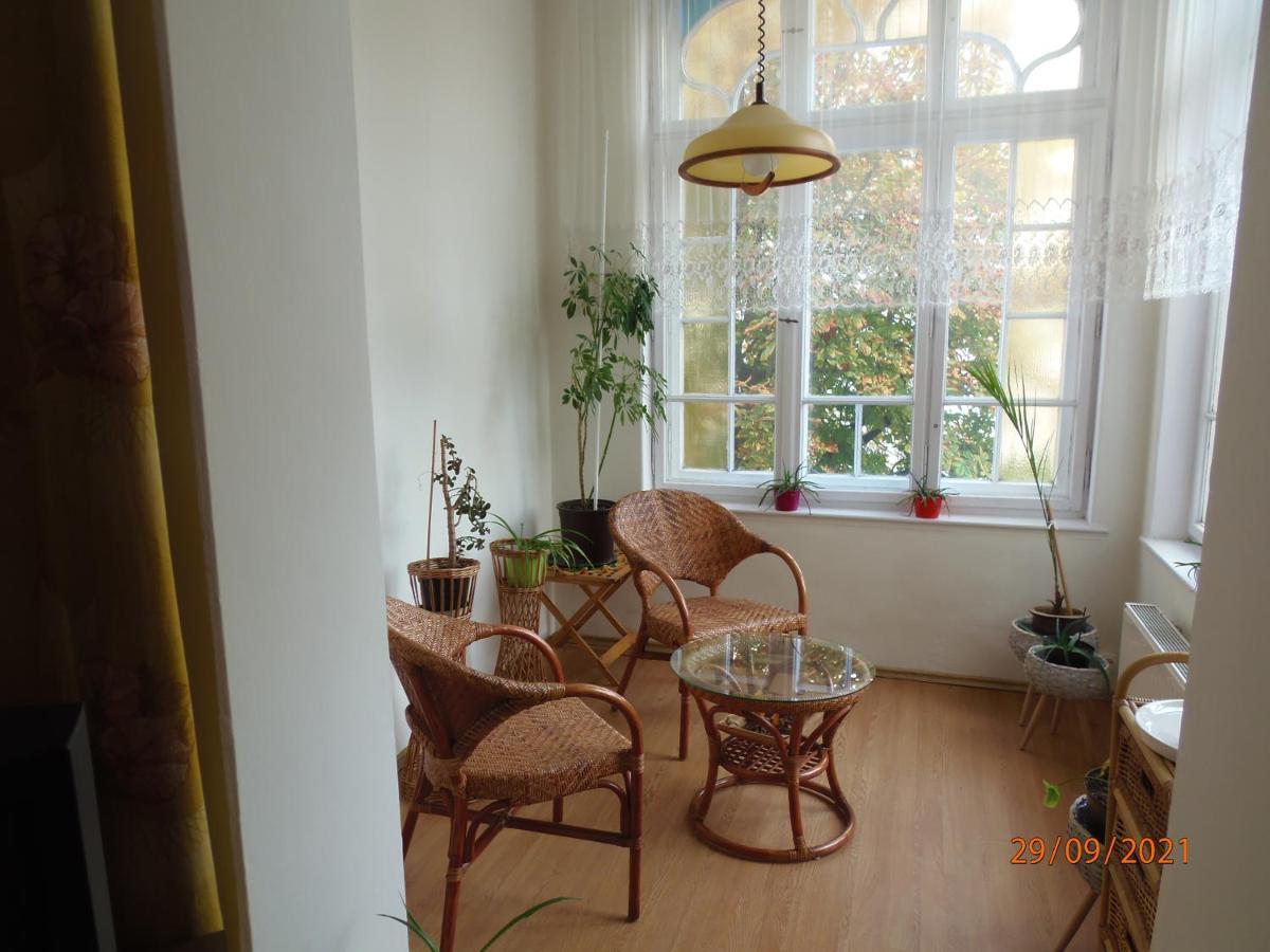 グリヴィツェApartament Kasztanowyアパートメント エクステリア 写真
