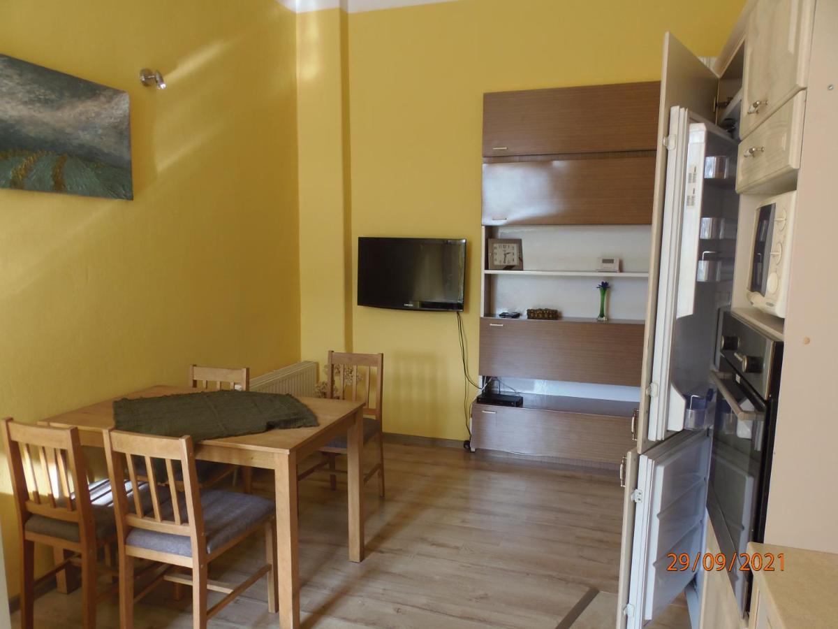 グリヴィツェApartament Kasztanowyアパートメント エクステリア 写真